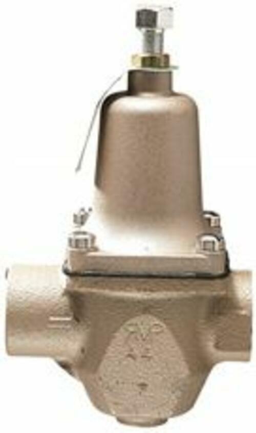 Backflow Check Valve,3/4